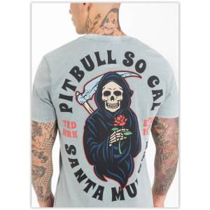 CAMISETA PESO MEDIO GRIS SANTA MUERTE