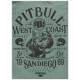 Camiseta Washed San Diego 89