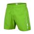 Swimming Shorts Bark Green
